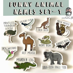 Funny animal names stickers, funny stickers, water bottle stickers, funny animal stickers, funny vinyl stickers, animal stickers, nope rope