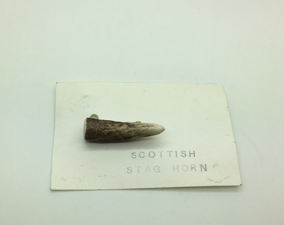Vintage Scottish Stag Horn Brooch Pin Kilt Gold T… - image 1