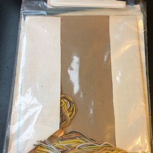 May include: A white embroidery canvas with brown and yellow embroidery floss in a plastic bag. The canvas is folded in half and the floss is bundled together.