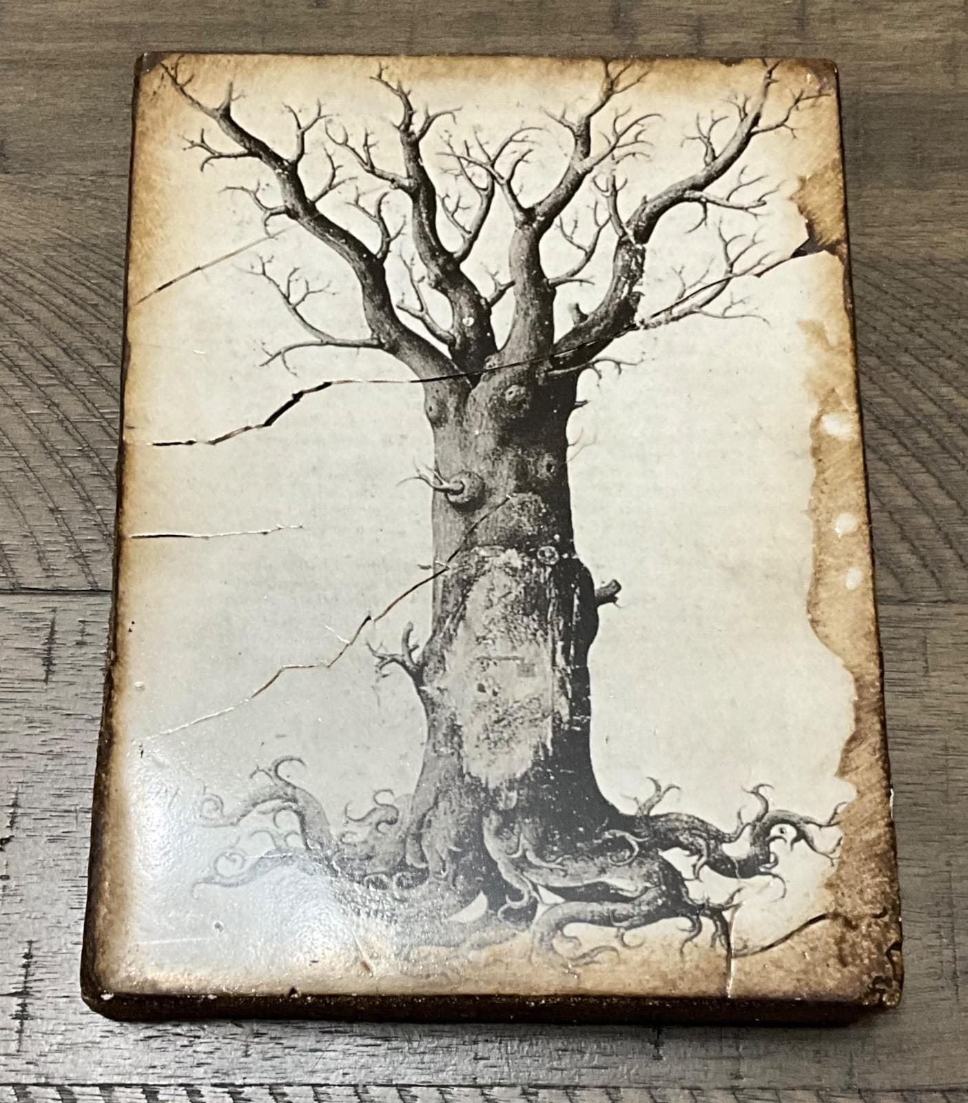 Sid Dickens - Etsy