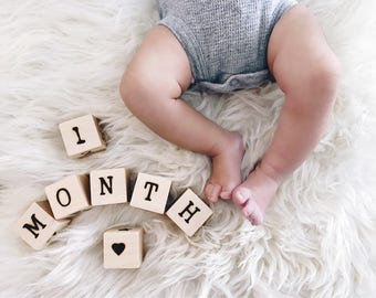 monthly baby blocks