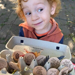 May include: A cardboard egg carton containing several round wooden discs, each engraved with nature-themed illustrations and labels including moss, leaf, feather, bird song, wild flower, rock, mushroom, seed, pinecone, and a spider web design.