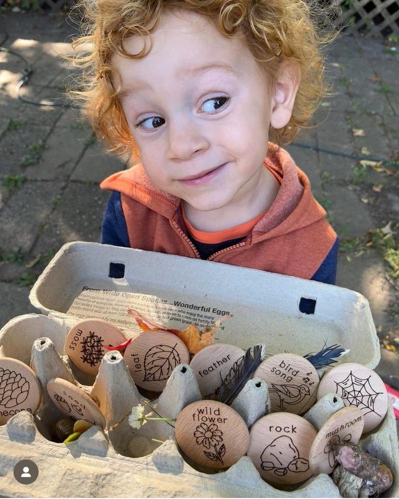 May include: A cardboard egg carton containing several round wooden discs, each engraved with nature-themed illustrations and labels including moss, leaf, feather, bird song, wild flower, rock, mushroom, seed, pinecone, and a spider web design.