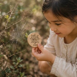 May include: A round, light-colored wooden disc featuring a black line drawing of a spider web and the word "web" printed in lowercase letters. The disc is held up to display the illustration alongside a natural spider web in the environment.