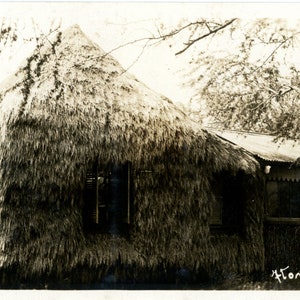 May include: Vintage black and white photograph of a thatched-roof building. The building has a unique architectural style with a grass roof and wooden walls. The photograph is taken outdoors, with trees in the background. The image is a historical document.