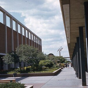 Vintage Vintage Original Photo 35mm Slide Kodachrome Northland Mall 1956 Lot Of 5