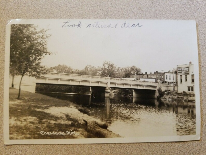 Chesaning Michigan Photo RPPC Postcard Street Scene Etsy
