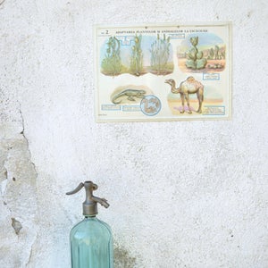 Tableau scolaire vintage, petit tableau, décoration éducative, impression en relief rétro biologique