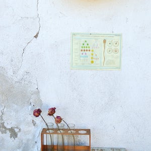 Vintage leer Board, genetica illustratie, educatieve muur opknoping, Vintage kunststof grafiek