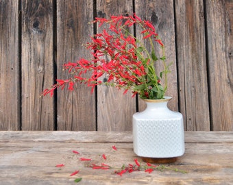 May include: A white ceramic vase with a textured pattern holds a bouquet of red flowers against a rustic wooden background.