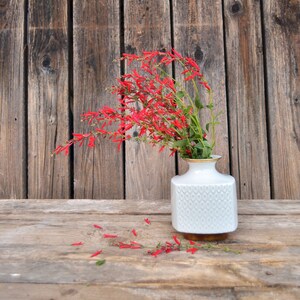 May include: A white ceramic vase with a textured pattern holds a bouquet of red flowers against a rustic wooden background.