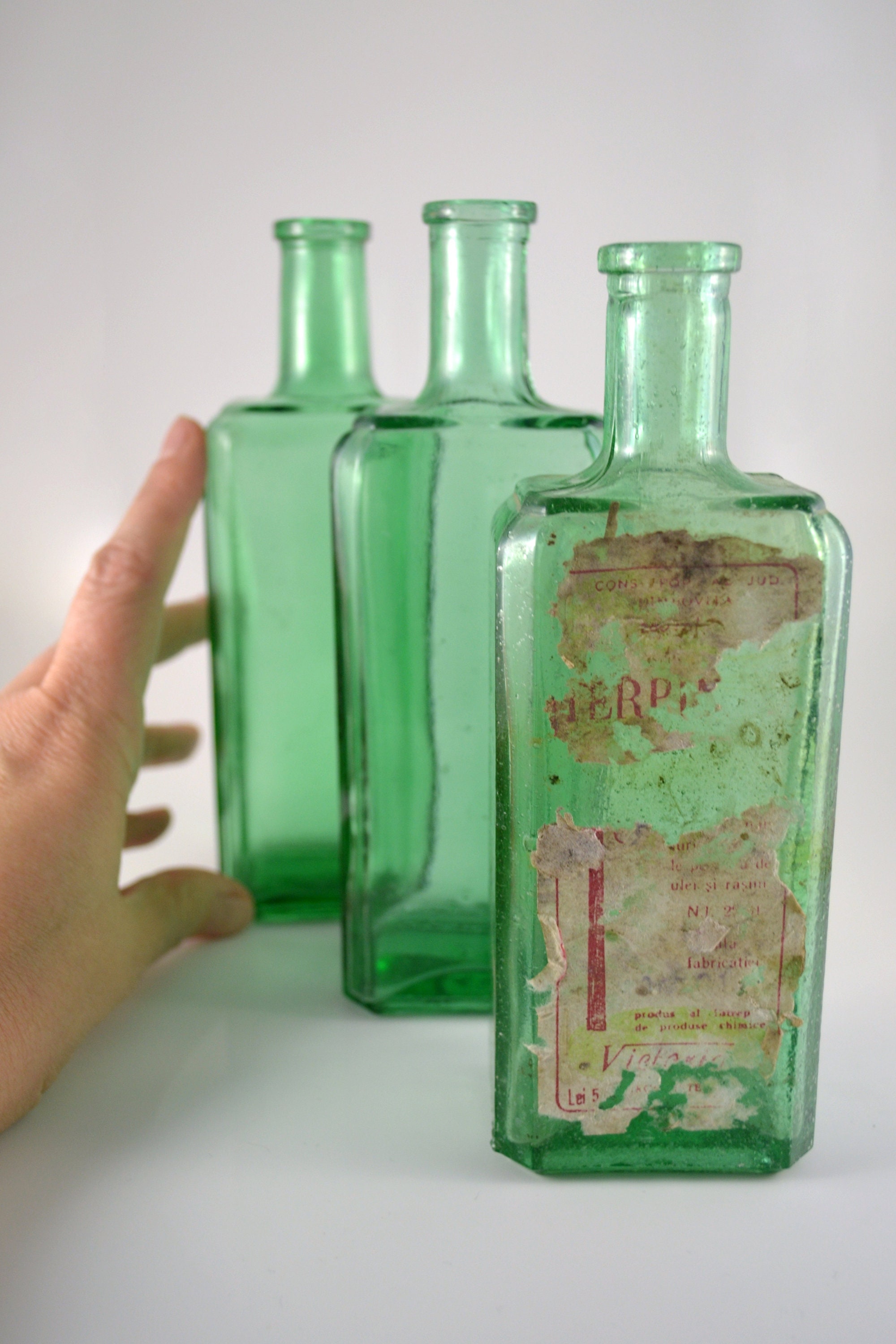Vintage Bottle Vases Instant Collection of Vintage Glass Etsy