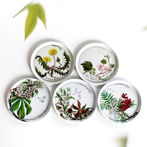 Vintage Botanical Metal Coasters, Set of 5 Floral Drink Coasters with Latin Plant Illustrations, Garden Party Decor