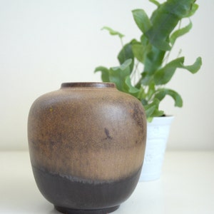 May include: A brown and black ceramic vase with a speckled glaze. The vase is round and has a wide opening.
