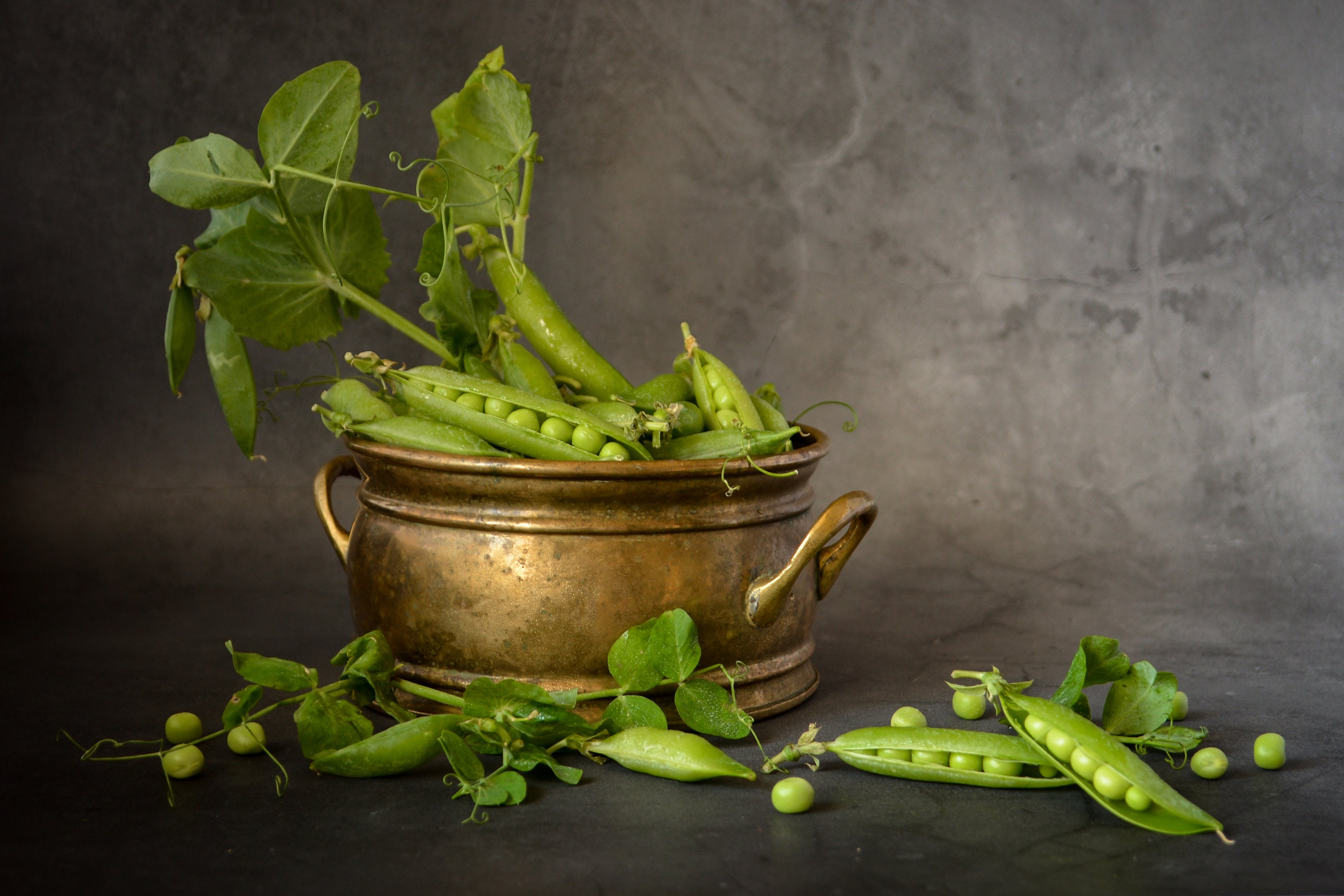 ヴィンテージの真鍮製ボウル（ハンドル 2 つ付き） - 気まぐれな写真