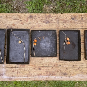 Op de afbeelding: Vijf rechthoekige, donkere metalen trays op een verweerd houten oppervlak. Elke tray bevat een stengel met gedroogde hulzen en oranje bessen. De scène speelt zich buiten af.