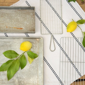 May include: Two metal baking sheets, one with a lemon branch and leaves, and the other empty.  A white kitchen towel with black stripes is in the background with two wire cooling racks.