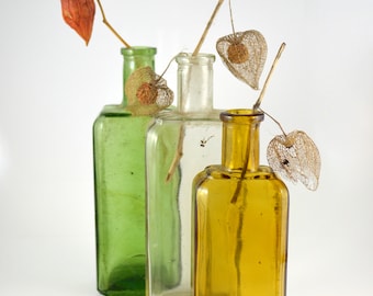Vintage Bottle Vases, Instant Collection of Vintage Glass Bottles, Set of 3