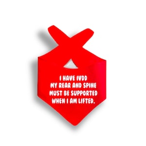 I have IVDD Tie On Pet Bandana, Dog Scarf, Reversible Bandana for Dogs, Dog Bandana, Cat Bandana, Tie On Cat Bandana