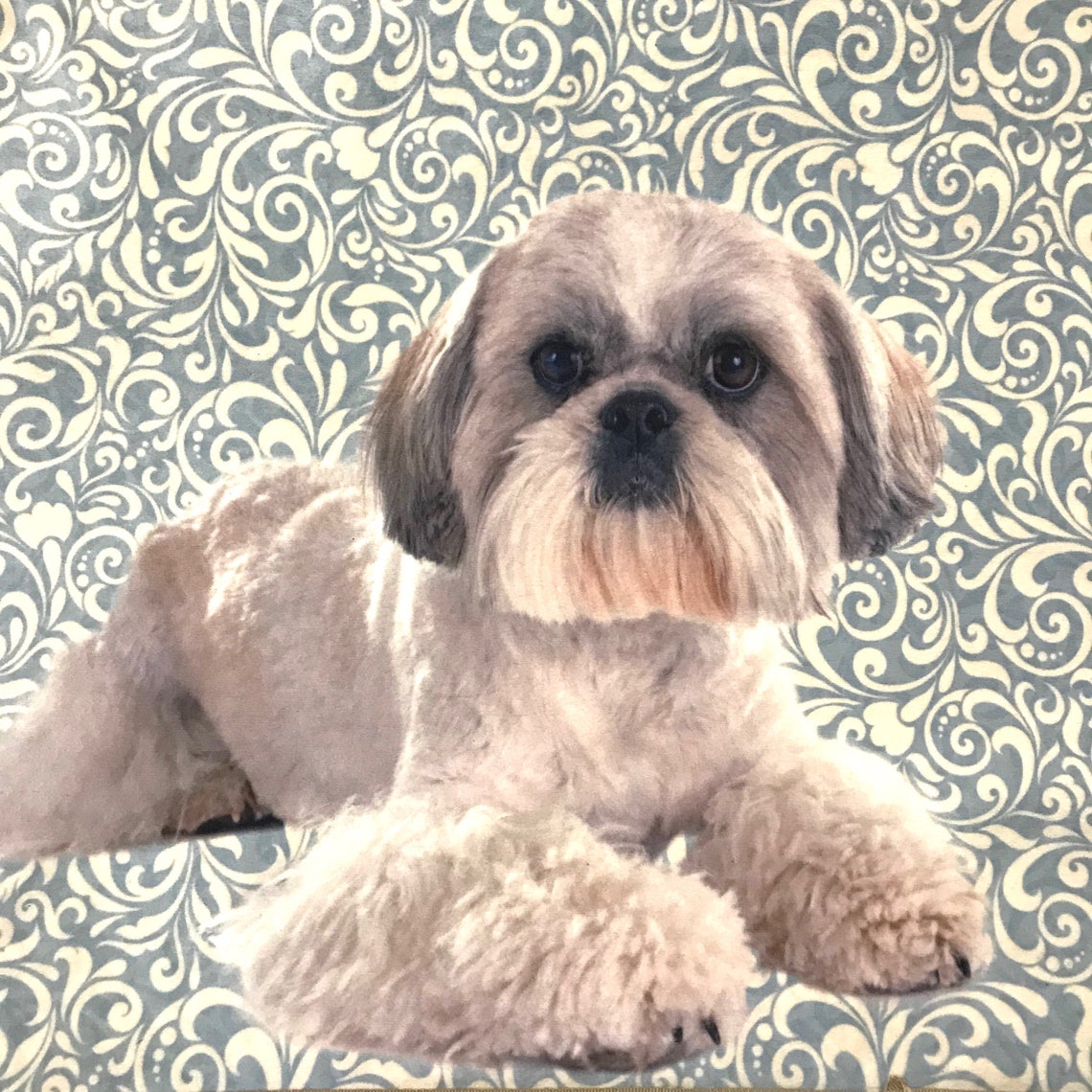 SHIH TZU Home Mat Bathroom Mat Rug Pet Animal Lovers Room Etsy