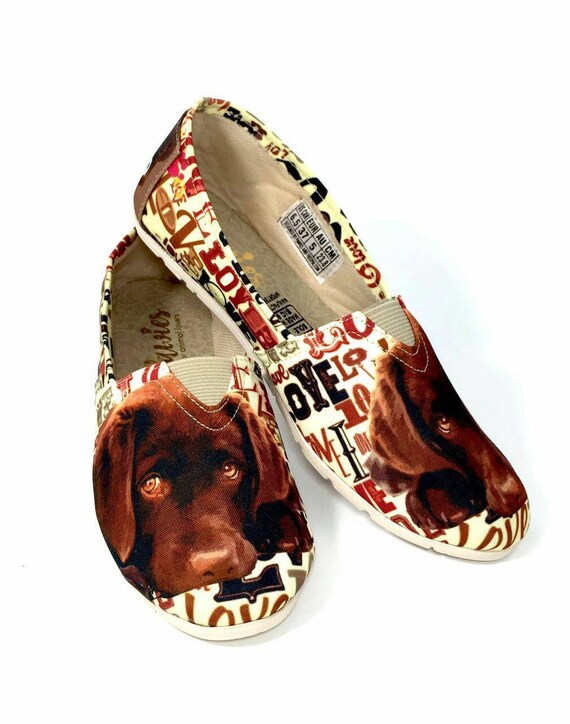 shoes for labrador