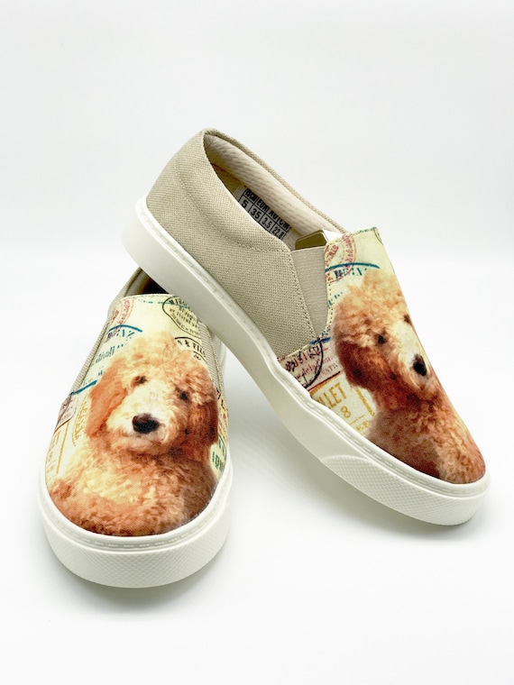 goldendoodle shoes