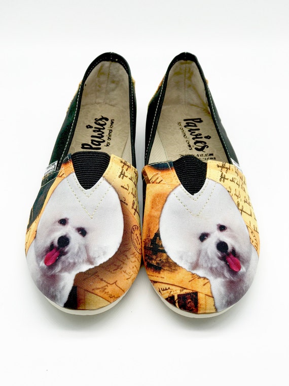 hush puppy shoes dog