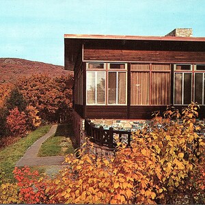 vintage Nonposted Postcard Foliage Skyland Dining Room Skyline Dr. Shenandoah National Park Virginia VA P24170 Plastichrome Simonpietri MCM