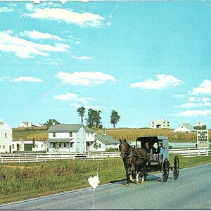 Cartão postal vintage não postado Fazenda simples e chique Amish Family Buggy Intercourse Pennsylvania Dutch PA SM-24 K-10274 Lusterchrome Tichnor Bros.