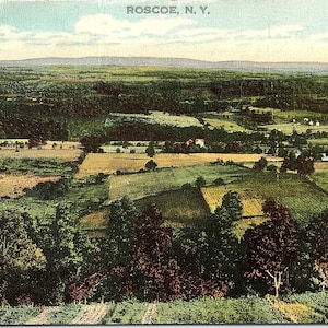 Vintage Unposted Hand farbige Postkarte Fields Farmland Trees Roscoe New York 74697-N Otto Hillig Curteich-Chicago C.T. American Art NY