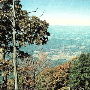 Cartão postal não postado vintage Rockfish Gap Blue Ridge Parkway Charlottesville Virgínia VA C.H. Ruth P15273 Plasticchrome A.J. Simonpietri Jr.