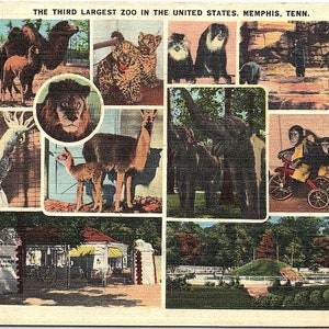 Pocztówka lniana VTG z 1940 r., Memphis Zoo Trzecie co do wielkości zoo w Stanach Zjednoczonych Memphis Tennessee TN Stempel pocztowy E-4165 Memphis Paper Co.