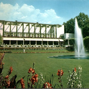 Vintage niewysłana pocztówka Dom festiwali i fontanna Palmengarten Frankfurt Niemcy DE Schoning Farbkarte 1778-f
