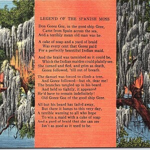 Vintage Um 1940s Unposted Leinen Postkarte "Legende des spanischen Moos" Gedicht Made in USA by Tichnor Brothers #67440
