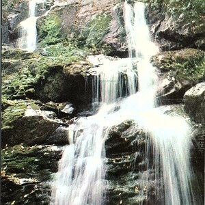 carte postale vintage Non postée Dark Hollow Falls Skyline Drive Shenandoah National Park Virginia VA Plastichrome Colourpicture P23687