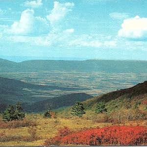 vintage Carte postale non postée Feuillage Skyline Drive Page Valley New Market Gap Massanutten Mountains Virginia VA P15274 Plastichrome Simonpietri