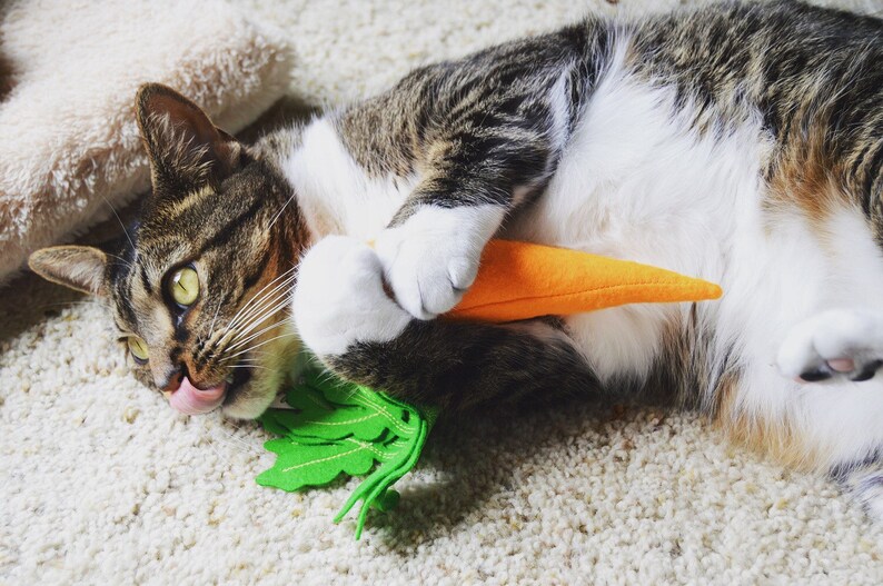 Catnip Heirloom Carrot Cat Toy Catnip Carrot Easter Cat Toy Etsy