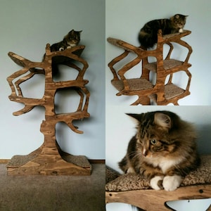 Handmade Cat Tree Shaped Like a Tree!