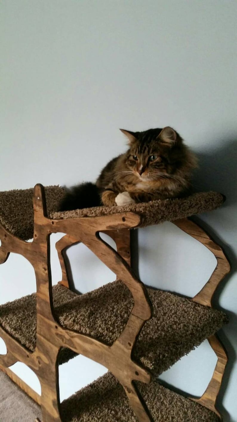 Handmade Cat Tree Shaped Like a Tree Etsy