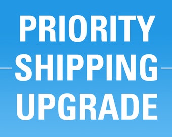 Express or Priority Flat-Rate Shipping Upgrade Option for Art of Barbell Orders