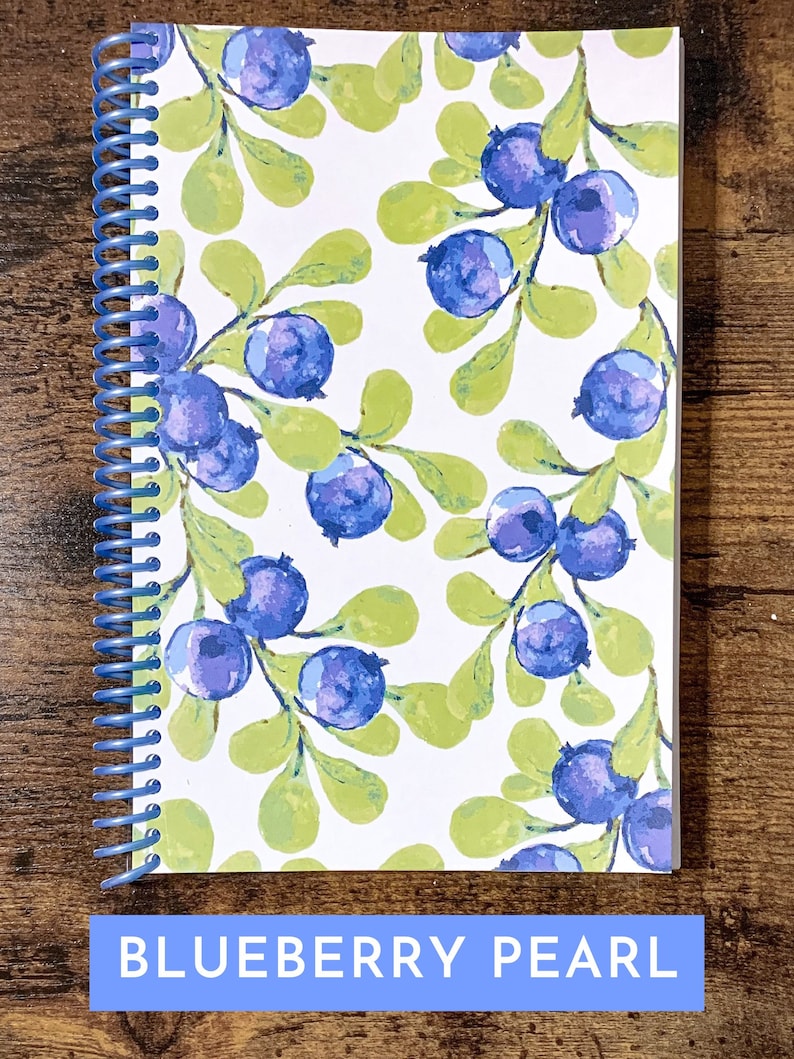 Mindful Eating Nutrition Diary 90 Days, 3 Months of Food Sensitivity Logging Pages, Diet Journal Blueberry Pearl
