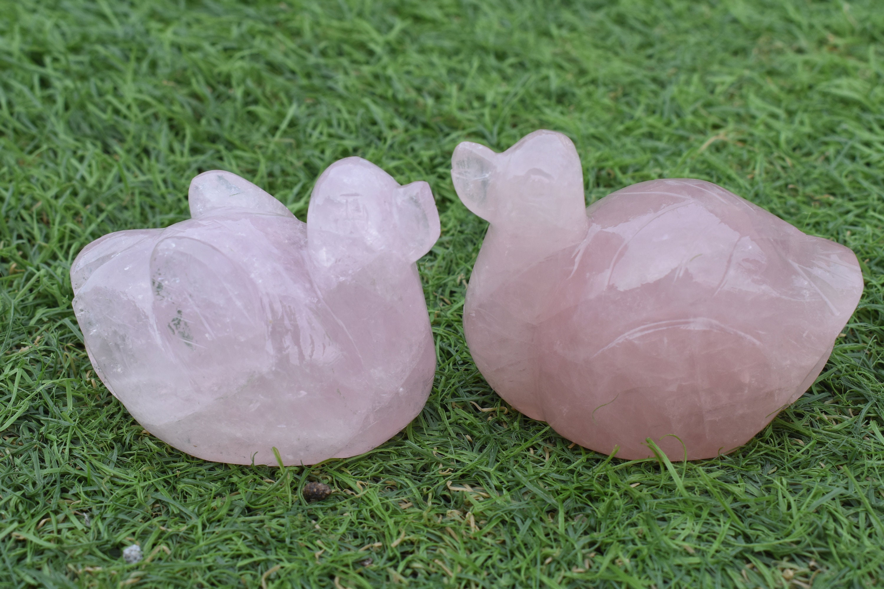 Rose Quartz Mandarin Duck Pair Natural Healing Crystal Etsy UK