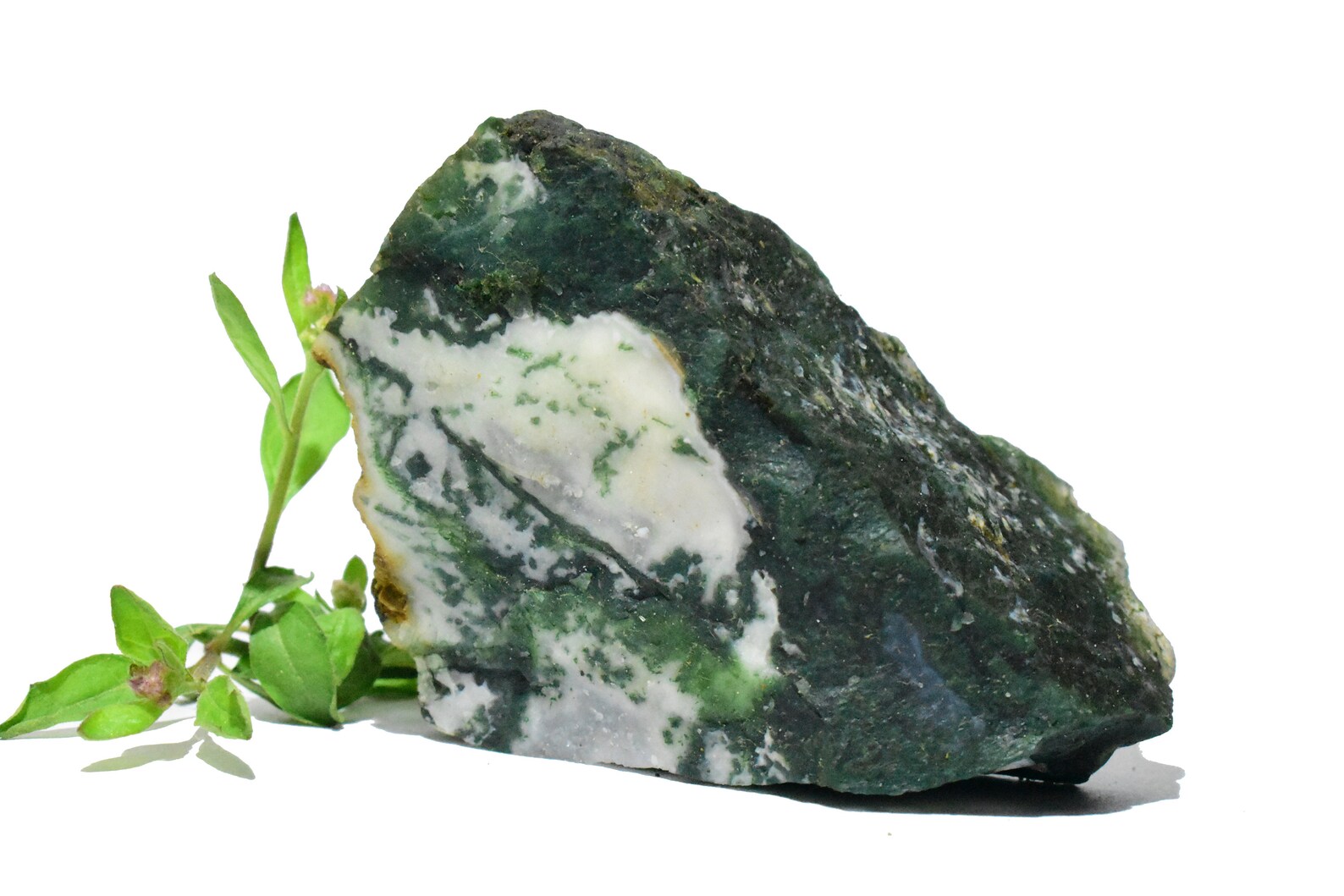 Tree Agate Raw Rough Natural Healing Jewelry Making Etsy