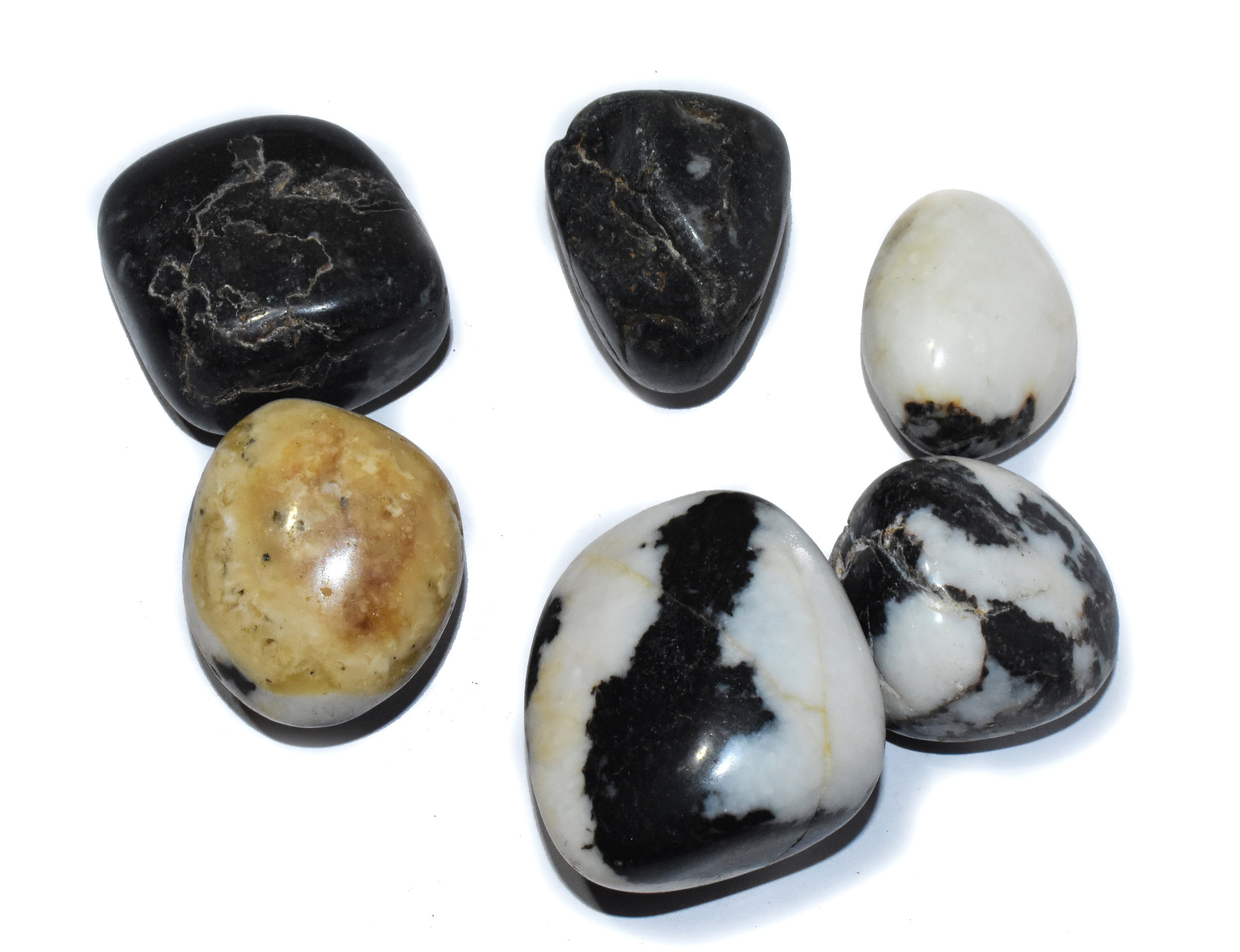 zebra jasper stone meaning zebra jasper stone meaning