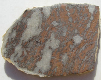 May include: A close-up of a piece of rock with a swirling pattern of brown, white, and gray. The rock has a rough, uneven texture.