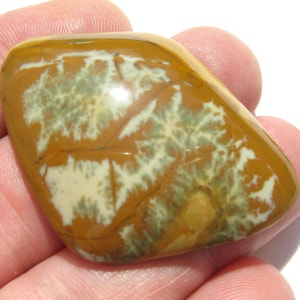 Owyhee Picture Jasper cab free form cabochon Owyhee Jasper cab Owyhee Jewelry Owyhee wire wrap stone Owyhee cab Picture Jasper jewelry