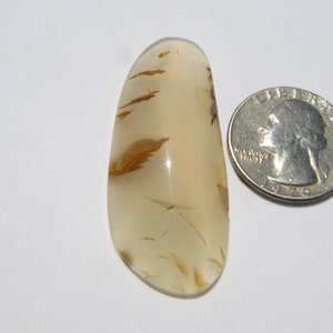 Montana Agate cab (51.5x21.3x7mm) Freeform Pendant stone Mossy Dendritic jewelry slice