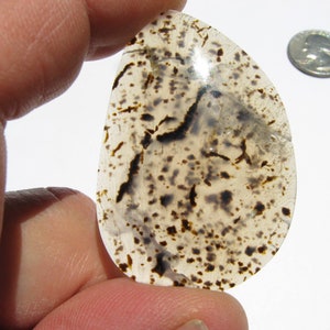 Spotted Montana Agate cab Freeform Pendant stone Dendritic focal stone Mossy Dendrites Dendritic agate cab moss agate jewelry