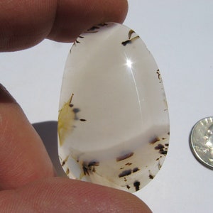 Montana Agate cabochon (44.7x27.5x4.6mm) Freeform Pendant cab Moss stone slice Irising specimen
