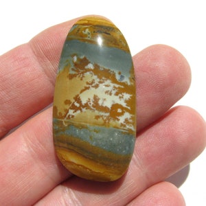 Owyhee cabochon (43.8x22x5.6mm) Picture Jasper cab free form wire wrap stone